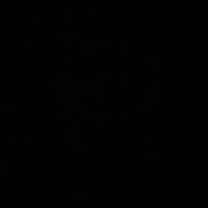 Meet your Posher, Danika